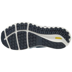 Mizuno Wave Skyrise Παπουτσια Για Τρεξιμο Ανδρικα - Μπλε